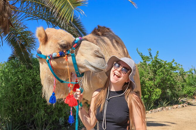 Electric Bike and Beach Camel Ride with Mexican Buffet Lunch - Learning to make a margarita