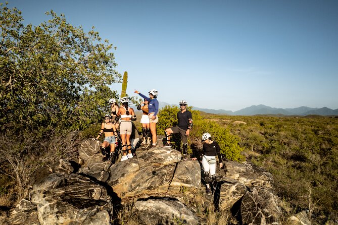 Electric Bike and Beach Camel Ride with Mexican Buffet Lunch - Who will enjoy this tour most?