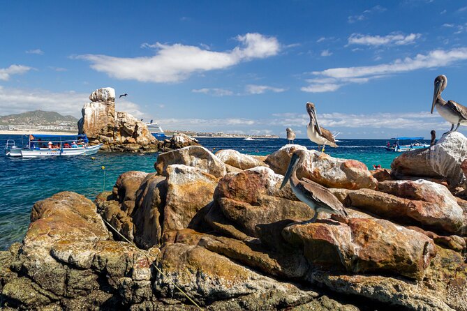 Experience the Clear Boat adventure & Cabo San Lucas City Tour - Why the clear boat is the centerpiece