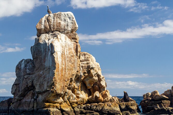 Experience the Clear Boat adventure & Cabo San Lucas City Tour - What the guide adds to the day