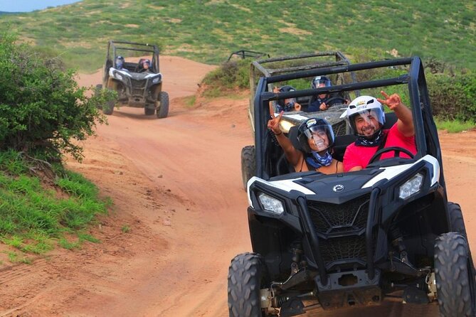 Extreme Razor Dune adventure and Tacos in Cabo San Lucas - Tacos, salsa, and the included buffet