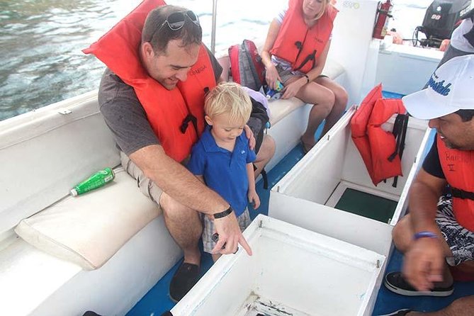 Famous Arch tour with Glass Bottom Boat. - Lover’s Beach and the meeting of two coasts