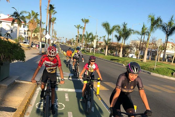 Following the bike lane, discover the main attractions of San José del Cabo - Value of a Small, Active Sightseeing Tour