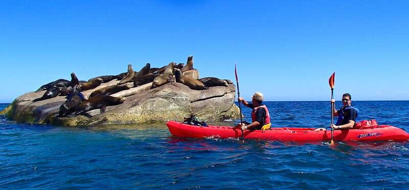 From Cabo: Cabo Pulmo Marine Park Snorkeling and Kayaking - Why Cabo Pulmo is worth the long ride