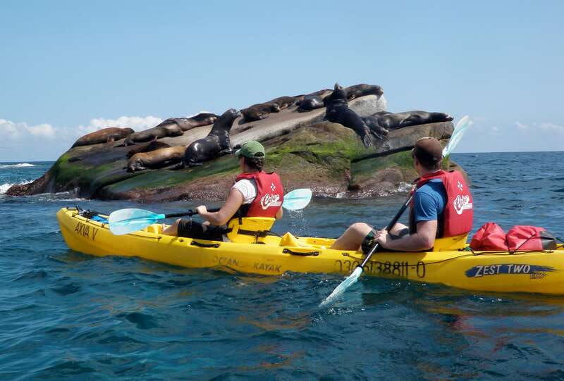 From Cabo: Cabo Pulmo Marine Park Snorkeling and Kayaking - Lunch in the Cabo Pulmo community