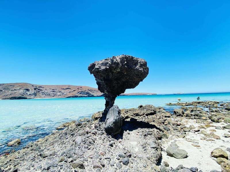 From Cabo/San José del Cabo: La Paz, Balandra & Todos Santos - Two hours at Playa Balandra
