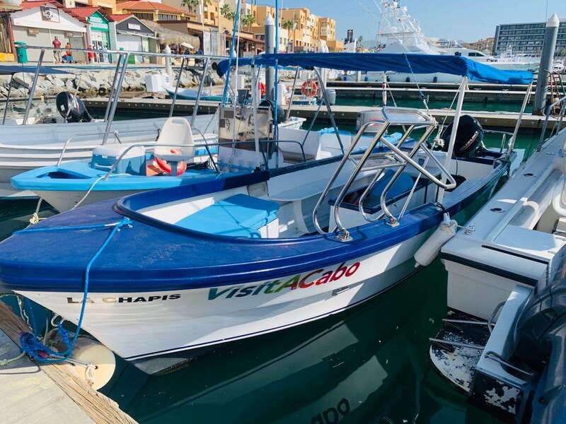 From Cabo San Lucas: Lovers Beach and El Arco Boat Trip - Spending 45 minutes at El Arco