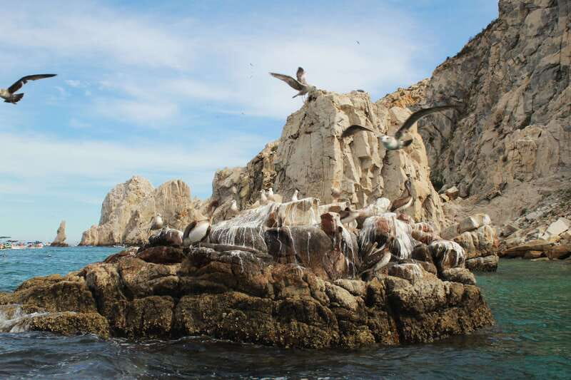From Cabo San Lucas: Lovers Beach and El Arco Boat Trip - Who will enjoy this Cabo boat trip