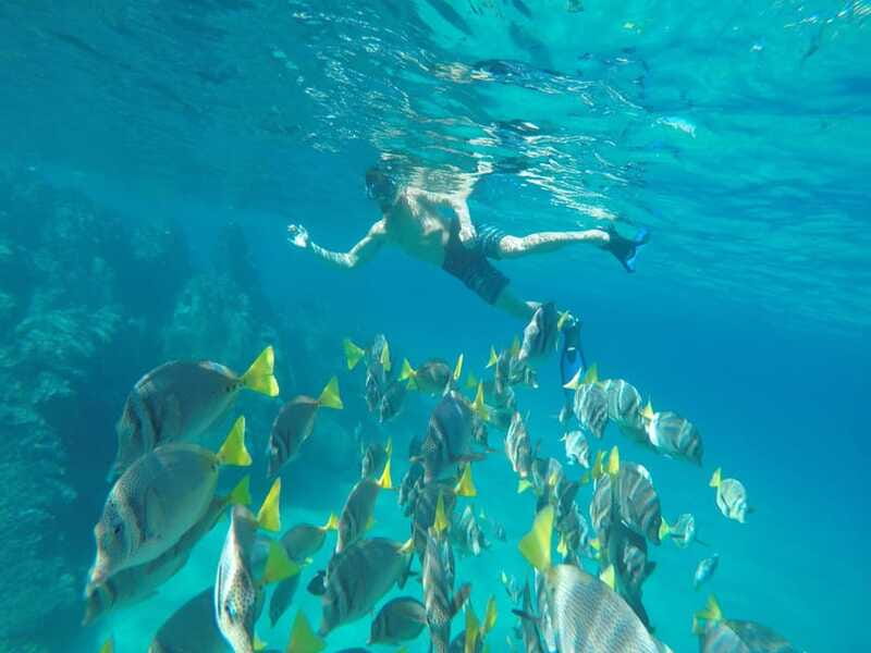 From Cabo San Lucas: Lovers Beach and El Arco Boat Trip - Keeping the day smooth and stress-free