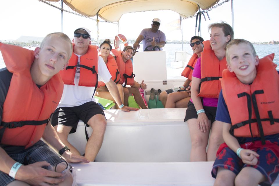 From Cabo: Snorkel with Whale Sharks in La Paz - What swimming with a whale shark is really like