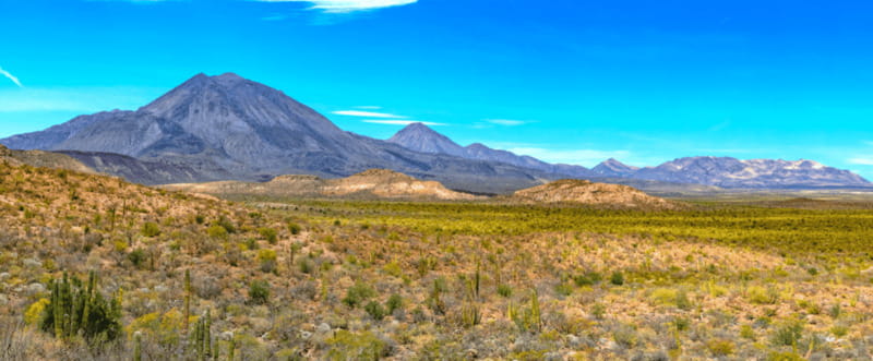 From Los Cabos: City Tour La Paz, Balandra and Todos Santos - Coromuel Beach brings a slower hour
