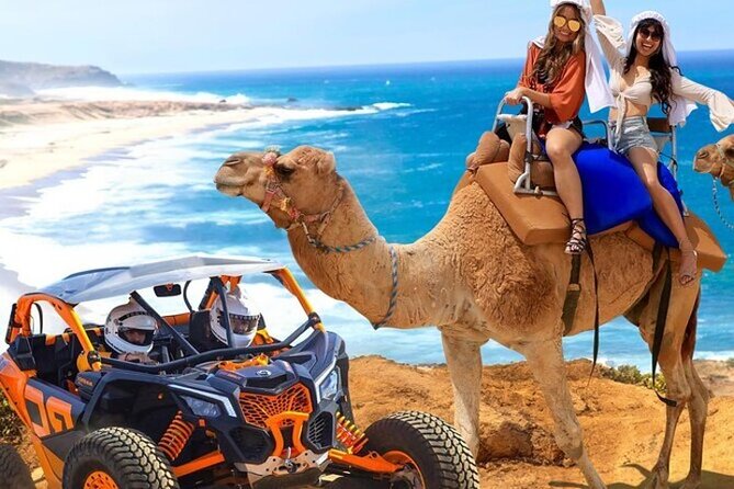 Fun Camel Ride and UTV COMBO with Tequila Tasting! - Key points to know before you book