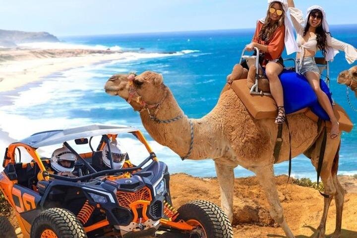 Fun Camel Ride and UTV COMBO with Tequila Tasting! - No phones means no personal photos