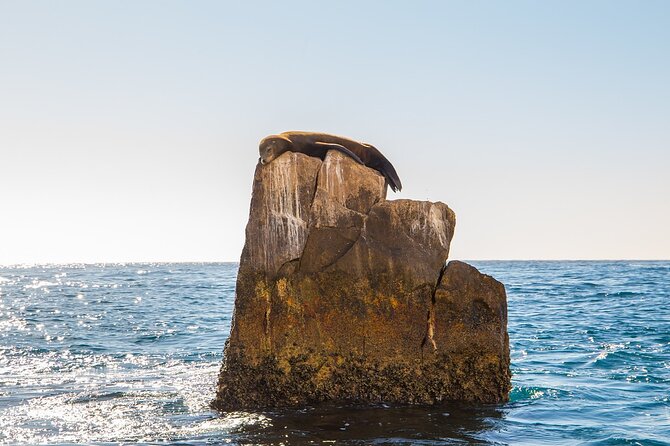 Glass Bottom Boat in Cabo San Lucas, free time in Playa del Amor - Playa del Amor is the flexible part of the outing