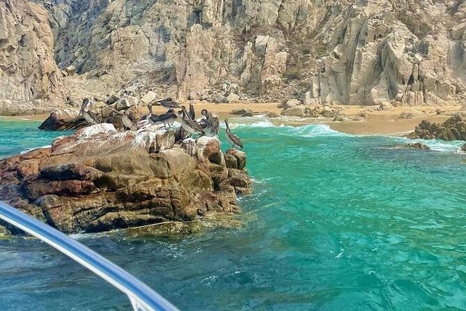Glass Bottom Boat to the Arch and Lovers Beach: Optional Pickup - Neptune’s Finger and Cabo’s unusual rock shapes