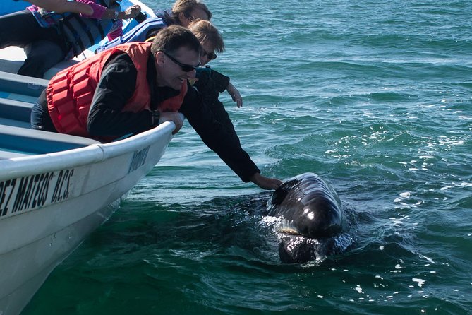 Gray Whale-Watching 2-Day Experience in Magdalena Bay - The five-hour road from Cabo San Lucas