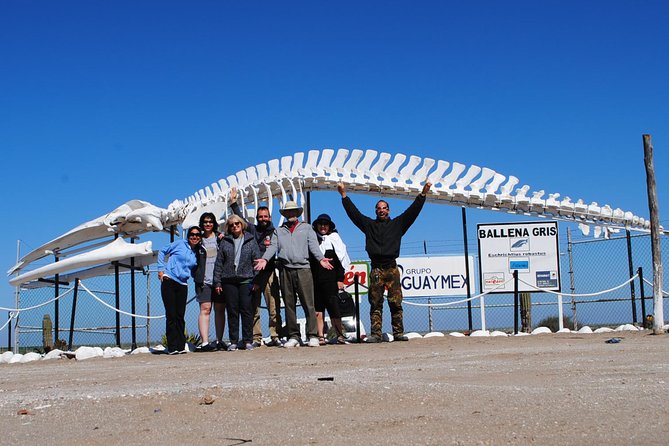 Gray Whale-Watching 2-Day Experience in Magdalena Bay - The sunrise boat trip gives you a second chance
