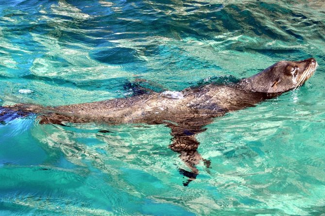 Guided Tour Los Cabos: Boat | Tacos & Tequila | Photos & Transfer - San José del Cabo, where the tour slows down