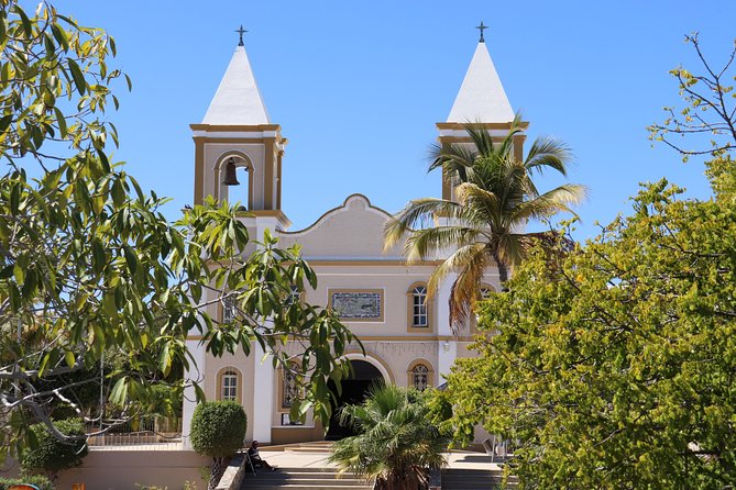 Guided Tour Los Cabos: Boat | Tacos & Tequila | Photos & Transfer - Tacos, tequila, chocolate, and the fine print