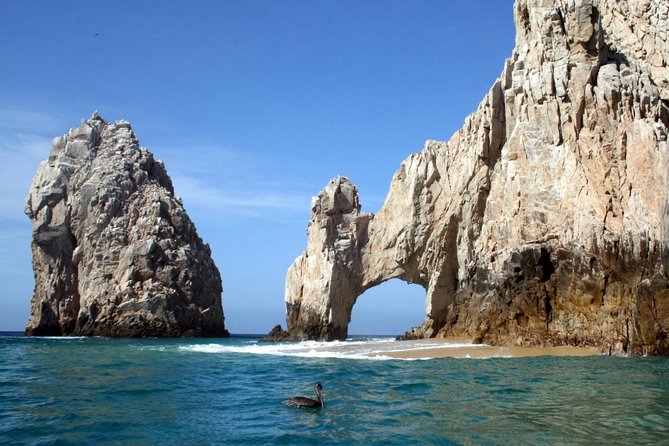 Guided Tour Los Cabos: Boat | Tacos & Tequila | Photos & Transfer - Cabo San Lucas, marina views, and the clear boat
