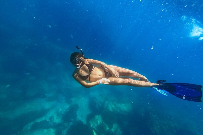 Half Day Cabo Snorkel Adventure with Lunch and Open Bar - What this four-hour Cabo catamaran trip really offers