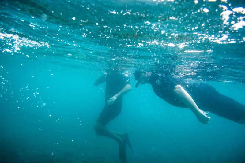 Half Day Guided Snorkel Tour in Los Cabos - What the three-hour schedule feels like