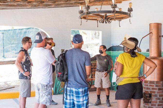 Half-Day San José del Cabo Zip Line and Rappel Adventure - Walking uphill between the activity stations