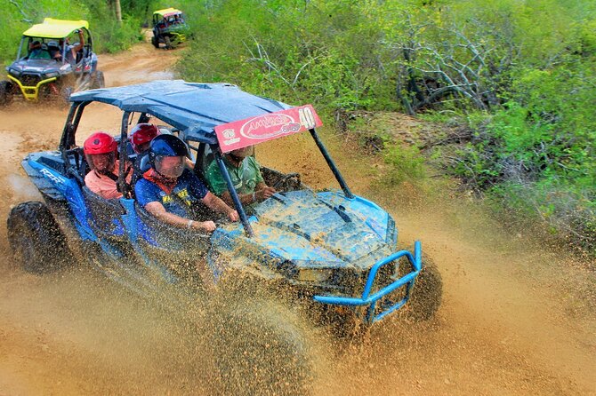 Half-day Wild Desert Polaris Razor UTV Tour - Key points at a glance