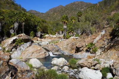 Hidden Waterfalls Hiking Adventure