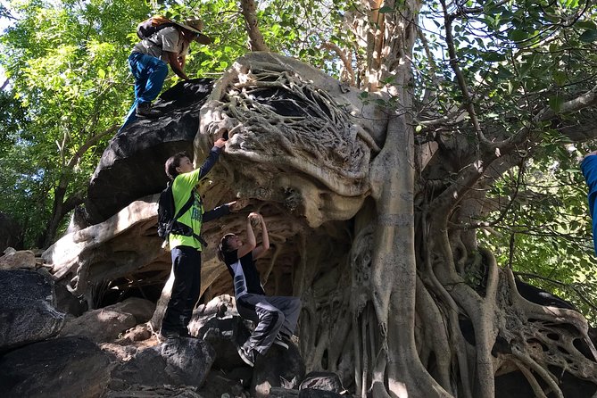 Hike the native Pericu road in Sierra de la Laguna. - The late-afternoon timing and night return