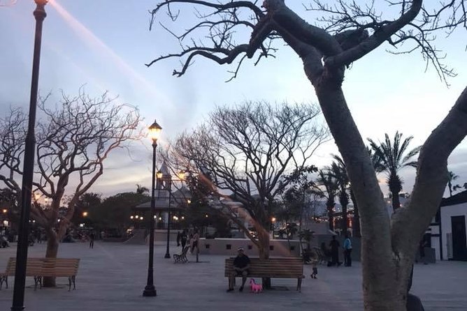 Historical and Cultural Walking Tour of San José del Cabo - Plaza Mijares and the obelisk