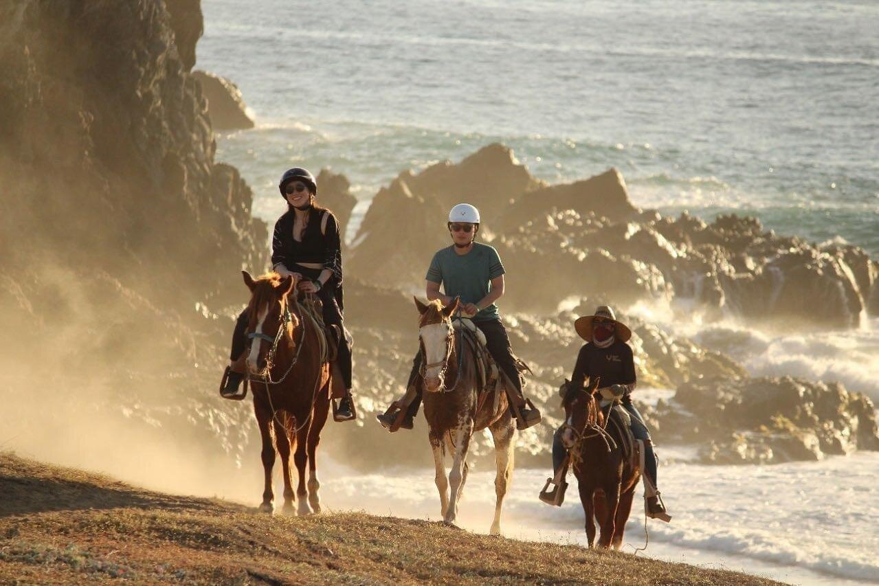 Horse Back Ridding Tour on the Pacific Ocean & Desert - Who will enjoy this ride most