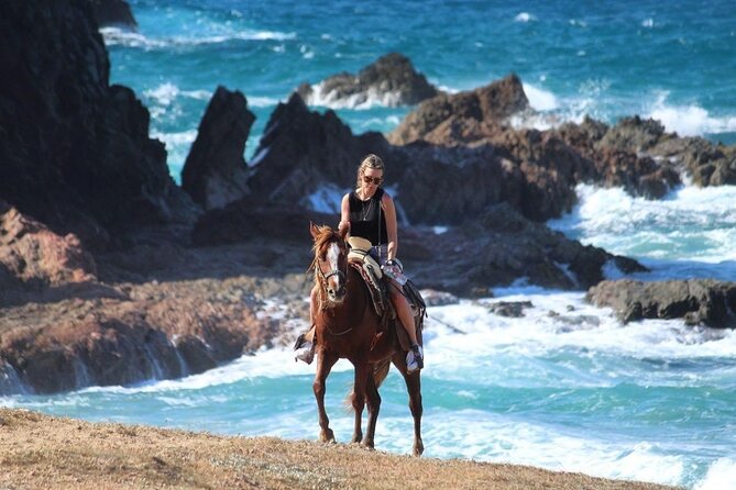 Horse Back Ridding Tour on the Pacific Ocean & Desert - What the horseback ride feels like for beginners