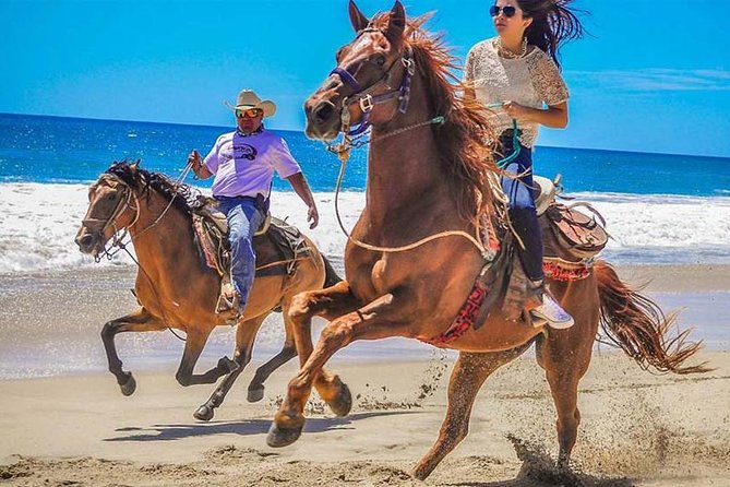 Horseback Riding & ATV Combo! Mountain Trails & Beautiful Beaches of BAJA! - Key Points Before You Book