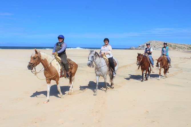 Horseback Riding & ATV Combo! Mountain Trails & Beautiful Beaches of BAJA! - The ATV Ride Brings the Action
