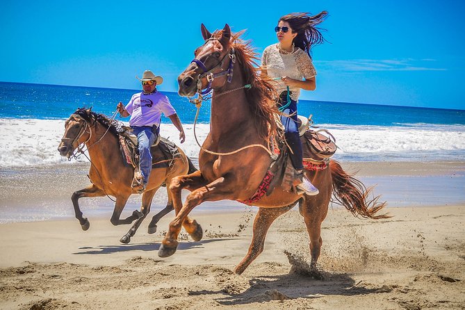 Horseback Riding & ATV Combo! Mountain Trails & Beautiful Beaches of BAJA! - Why the $150 Price May Work