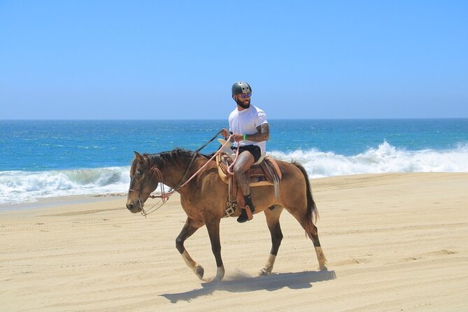 Horseback Riding Beach and Desert Adventure - From Cabo hotels to Playa Migrino