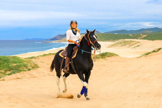 Horseback Riding Beach and Desert in Cabo - From Cabo hotels to the Baja trail base