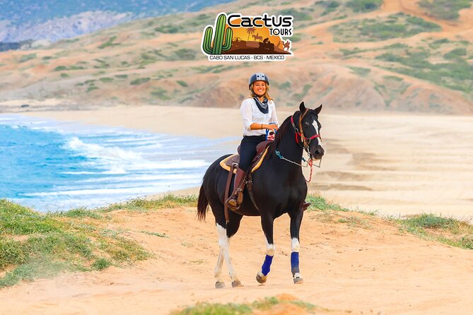 Horseback Riding Beach and Desert in Cabo - Safety, comfort, and who should skip it