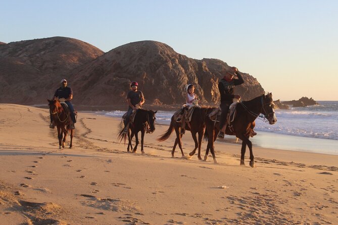 Horseback Riding Experience in Rancho San Cristobal - Why This Ride Works Well Near Cabo San Lucas