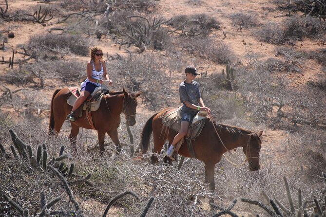 Horseback Riding Experience in Rancho San Cristobal - Guides Make the Biggest Difference
