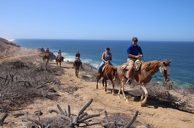 Horseback Riding Experience in Rancho San Cristobal - Price, Group Size, and Overall Value