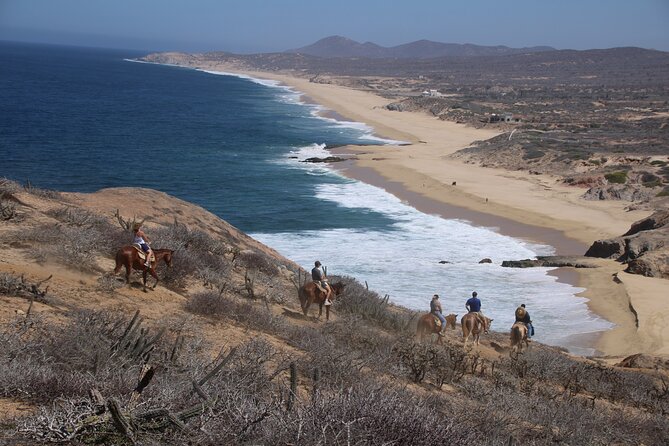 Horseback Riding Experience in Rancho San Cristobal - Across Desert, Mountain, and Coastal Trails