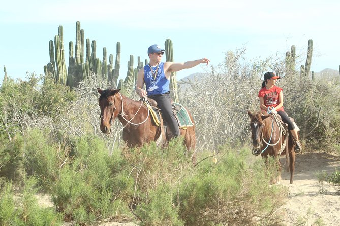 Horseback Riding Tour in Cabo San Lucas - Photos, snacks, and the sea turtle work