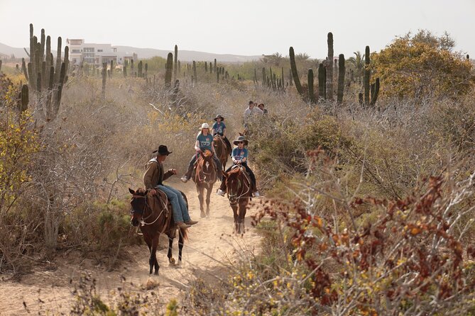 Horseback Riding Tour in Cabo San Lucas - The real timing and value of $65.86