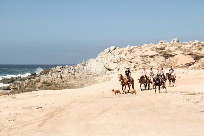 Horseback Riding Tour in Cabo San Lucas - Safety and comfort deserve your attention