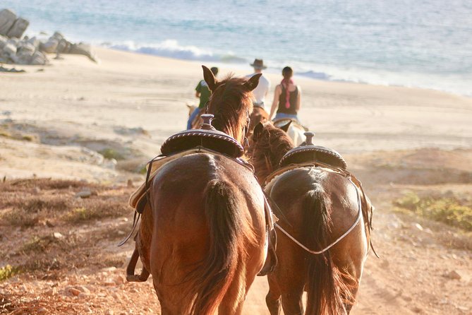 Horseback Riding Tour in Cabo San Lucas - Reaching the Pacific shoreline