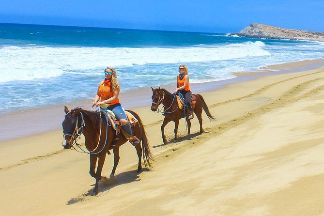 Horseback Riding Tour in Los Cabos - Is $68 a good value?