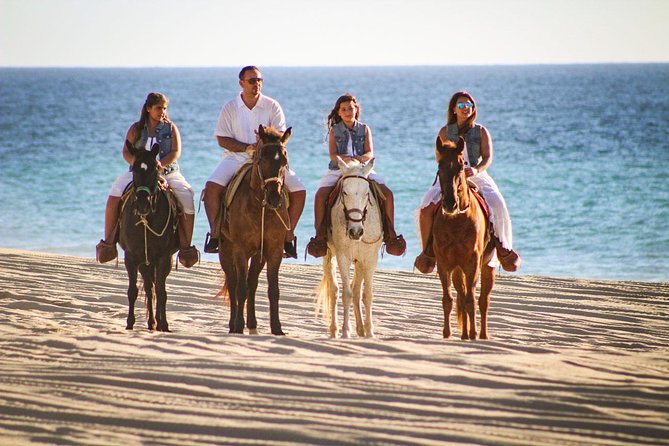 Horseback Riding Tour in Los Cabos - The desert trail and native cactus