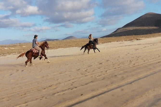 Horseback riding - Why the hill section adds value